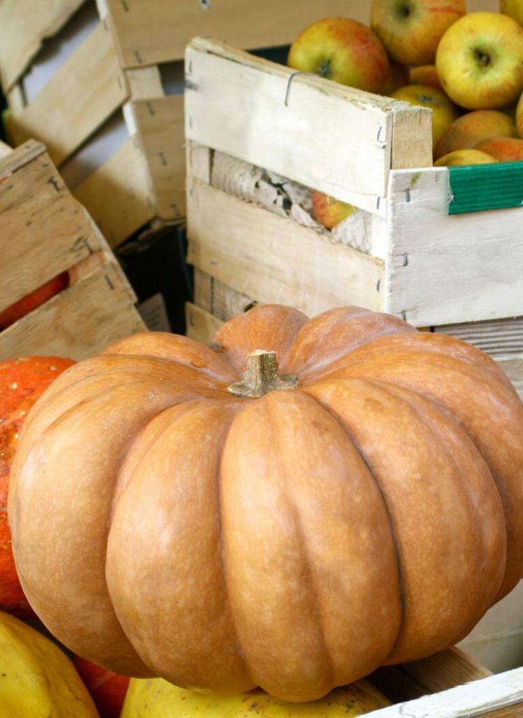 groenten en fruit herfst